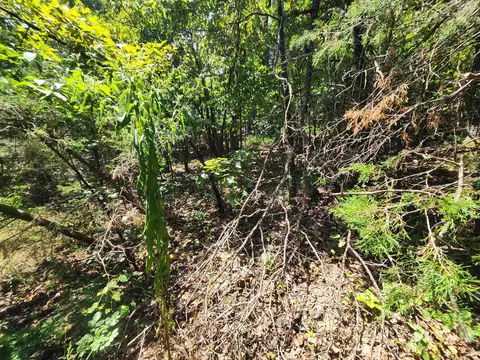 L-50, Highland, AR 72529 photo 14