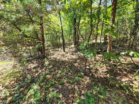 L-50, Highland, AR 72529 photo 11