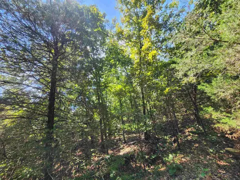 L-50, Highland, AR 72529 photo 3
