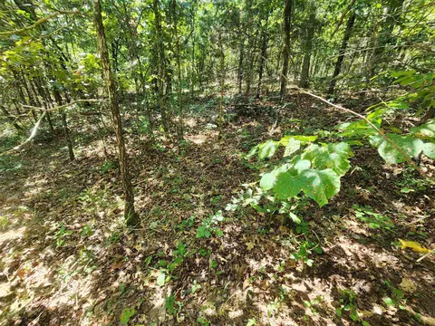L-50, Highland, AR 72529 photo 7