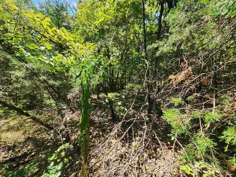 L-50, Highland, AR 72529 photo 15