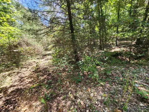 L-50, Highland, AR 72529 photo 5
