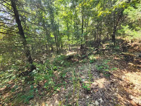L-50, Highland, AR 72529 photo 6