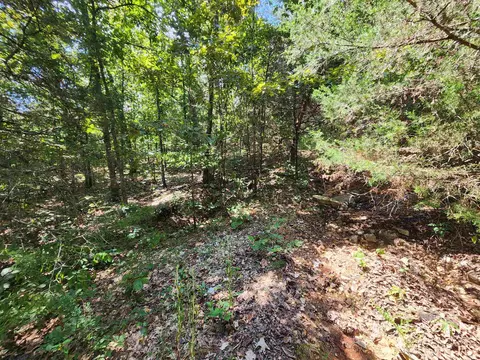 L-50, Highland, AR 72529 photo 4