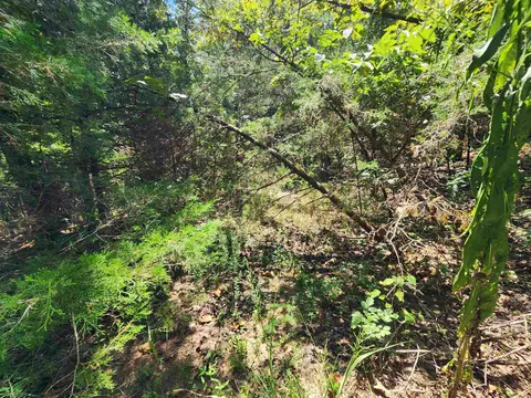 L-50, Highland, AR 72529 photo 16