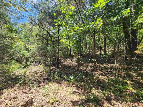 L-50, Highland, AR 72529 photo 12