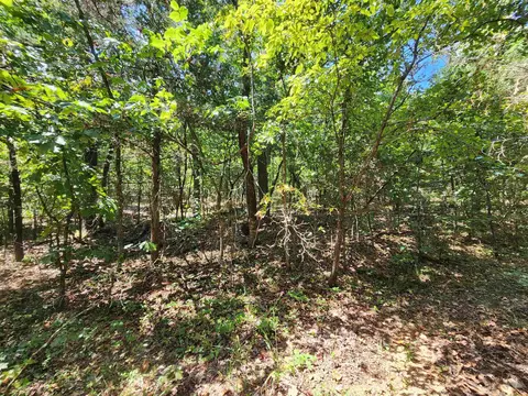 L-50, Highland, AR 72529