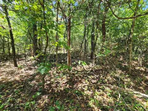 L-50, Highland, AR 72529 photo 10