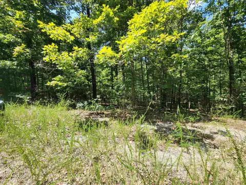 L-13, Cherokee Village, AR 72529