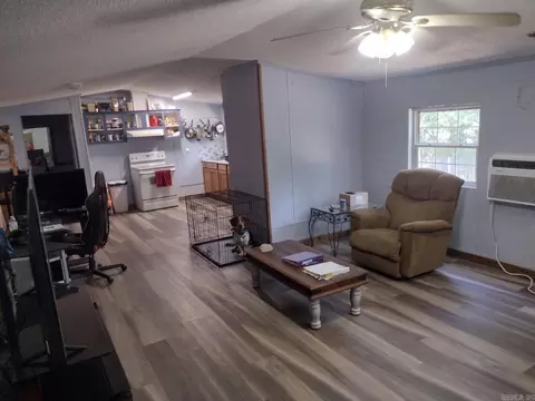 30007 Highway 84, Malvern, AR 72104 photo 10