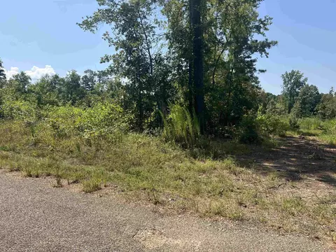 tbd Ozark Loop, Bismarck, AR 71929 photo 3