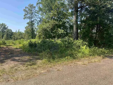 tbd Ozark Loop, Bismarck, AR 71929 photo 2