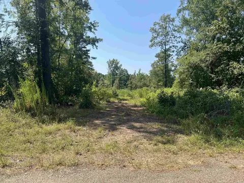 tbd Ozark Loop, Bismarck, AR 71929 photo 1