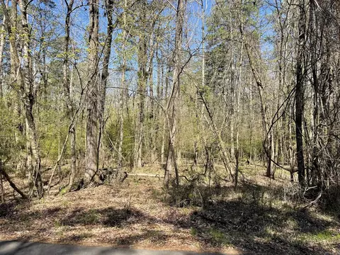 lot49 Costa Del Lago Ln, Hot Springs Village, AR 71909