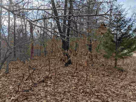 Cherokee Acres Drive, Cherokee Village, AR 72529