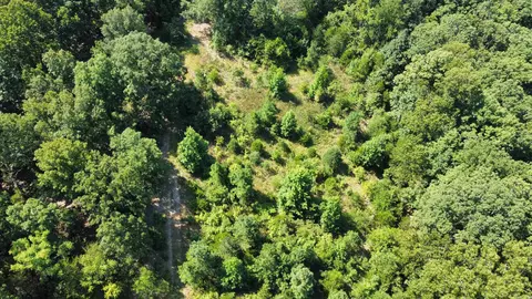 000 Holmes Rd, Mountain View, AR 72560 photo 9