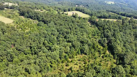 000 Holmes Rd, Mountain View, AR 72560 photo 10