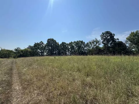 000 Holmes Rd, Mountain View, AR 72560 photo 6
