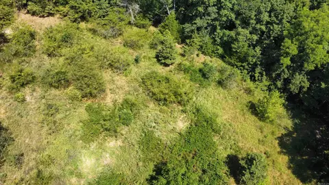000 Holmes Rd, Mountain View, AR 72560 photo 11