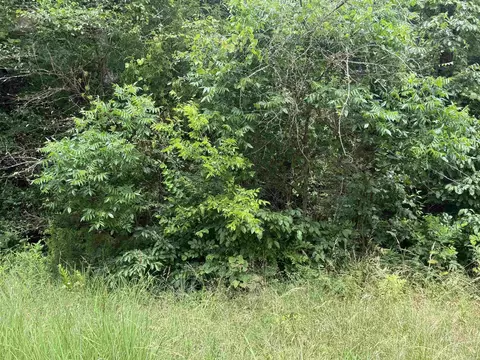 lot41 Seminole Second, Cherokee Village, AR 72529