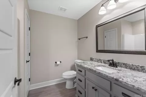 1703 Vine Maple, Benton, AR 72019 photo 23