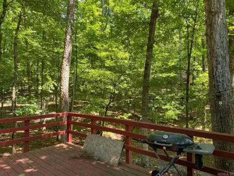 69 Circle T Rd, Mount Ida, AR 71957 photo 13