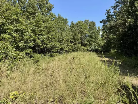 1315 Cr 67, Mammoth Spring, AR 72554 photo 33