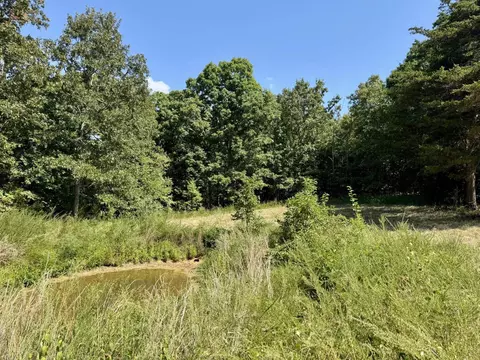 1315 Cr 67, Mammoth Spring, AR 72554 photo 30