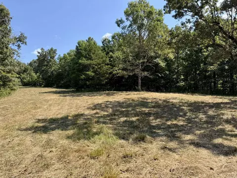1315 Cr 67, Mammoth Spring, AR 72554 photo 27