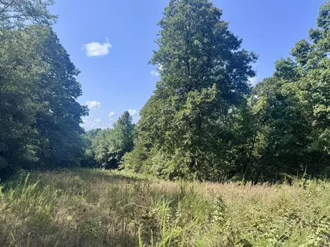 1315 Cr 67, Mammoth Spring, AR 72554 photo 24