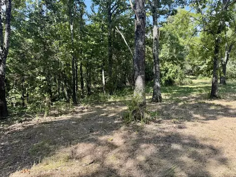 1315 Cr 67, Mammoth Spring, AR 72554 photo 34