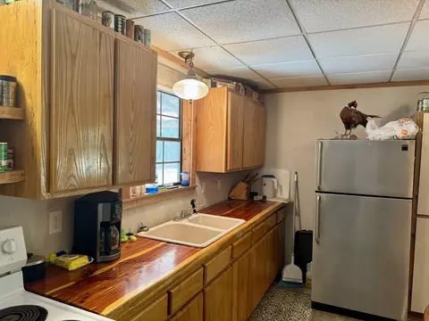 1315 Cr 67, Mammoth Spring, AR 72554 photo 8