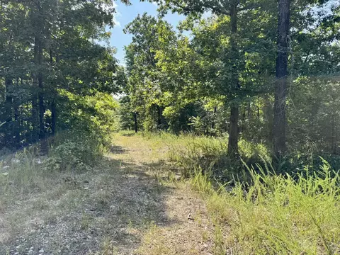 1315 Cr 67, Mammoth Spring, AR 72554 photo 31