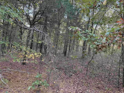 141 Duncan Ln, Poughkeepsie, AR 72569 photo 7