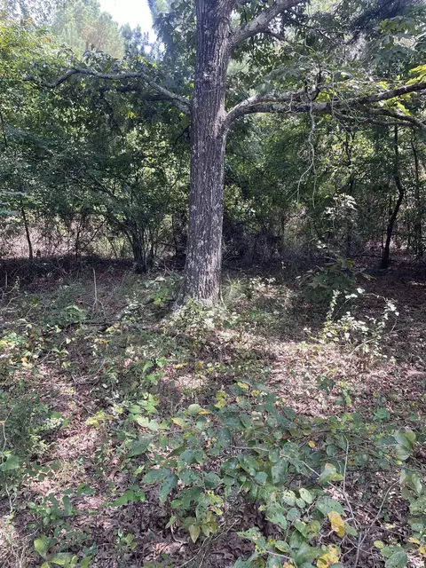 141 Duncan Ln, Poughkeepsie, AR 72569 photo 18