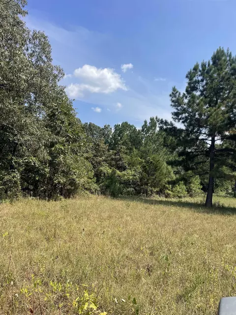 141 Duncan Ln, Poughkeepsie, AR 72569 photo 11