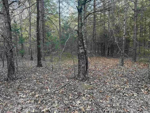 141 Duncan Ln, Poughkeepsie, AR 72569 photo 6