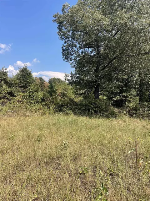 141 Duncan Ln, Poughkeepsie, AR 72569 photo 13