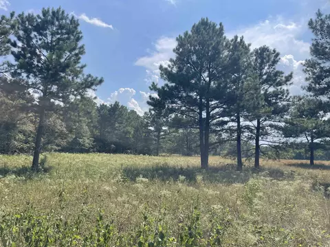 141 Duncan Ln, Poughkeepsie, AR 72569 photo 16