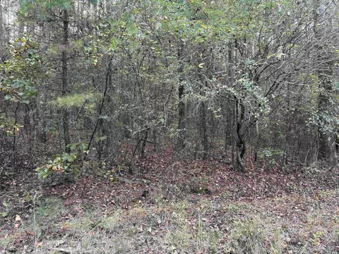 141 Duncan Ln, Poughkeepsie, AR 72569 photo 8