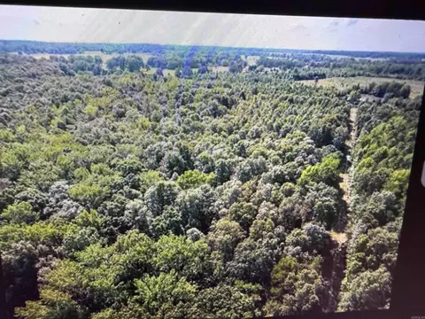 141 Duncan Ln, Poughkeepsie, AR 72569 photo 4