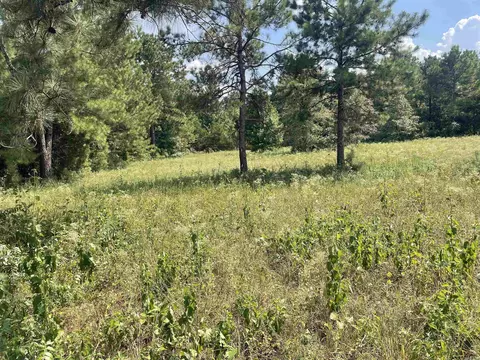 141 Duncan Ln, Poughkeepsie, AR 72569 photo 17