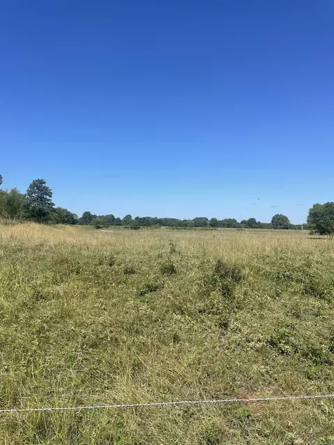 141 Duncan Ln, Poughkeepsie, AR 72569 photo 2