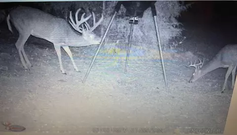 Other - 4 Kee Trl, Hardy, AR 72529 photo 14 of 15