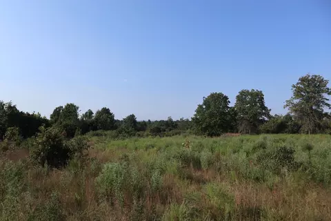 tbd Brookgrove Trl, Camp, AR 72520