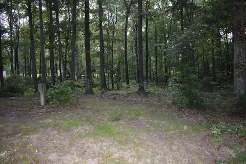 2905 Beechnut Dr, Pine Bluff, AR 71603 photo 18