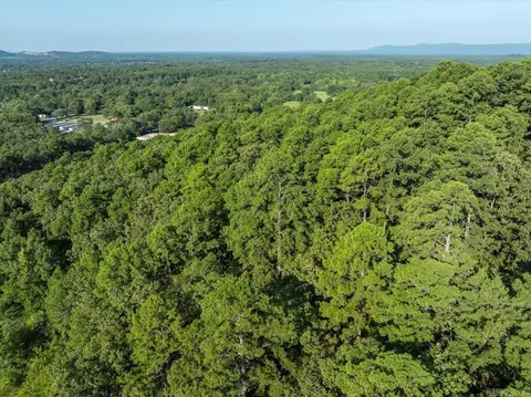 9999 Simpson St, Mena, AR 71953 photo 27
