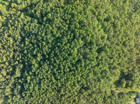 9999 Simpson St, Mena, AR 71953 photo 22