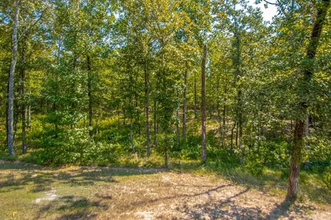 6408 Blackstone, Benton, AR 72019 photo 18