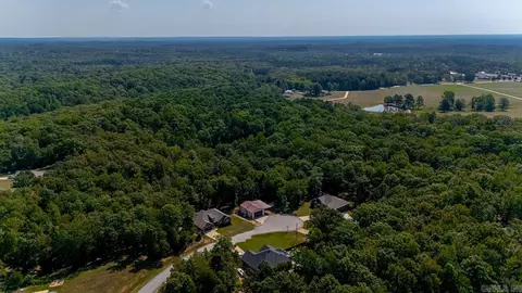 6408 Blackstone, Benton, AR 72019 photo 14